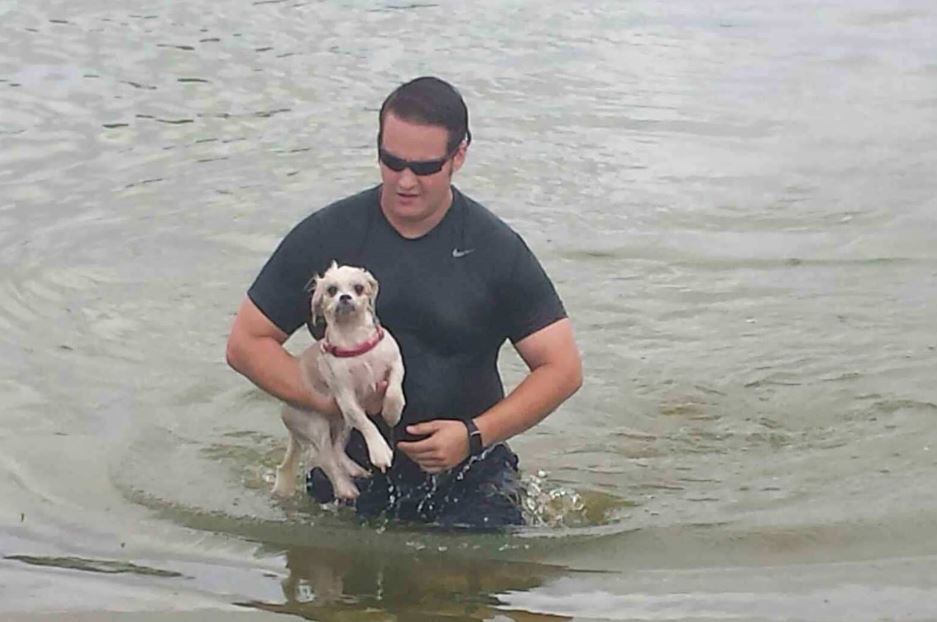 The dog 'Daisy' was about 50 yards from the sea wall. Daisy was scared and was not swimming toward the police officers and firefighters who responded to the scene to assist.