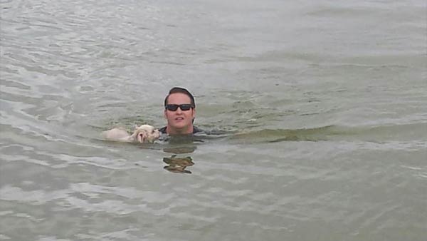 The dog 'Daisy' was about 50 yards from the sea wall. Daisy was scared and was not swimming toward the police officers and firefighters who responded to the scene to assist.