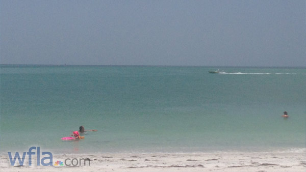 Boca Grande Sharks_24537