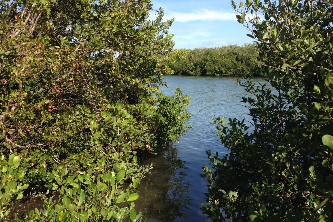 Gulfport's Clam Bayou