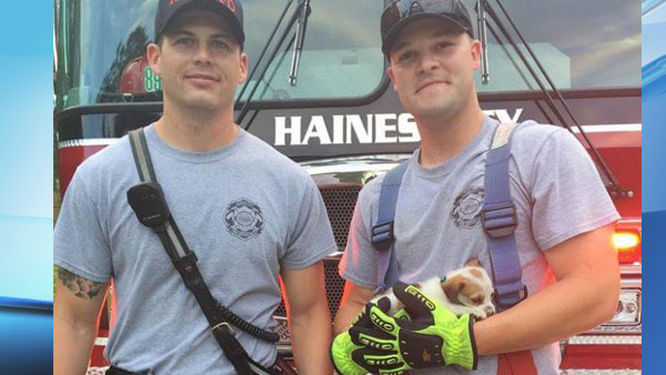  Lt Bruce Mace (left) and FF Mitch Lamm (right) with the rescued puppy. Haines City Fire Dept. photo