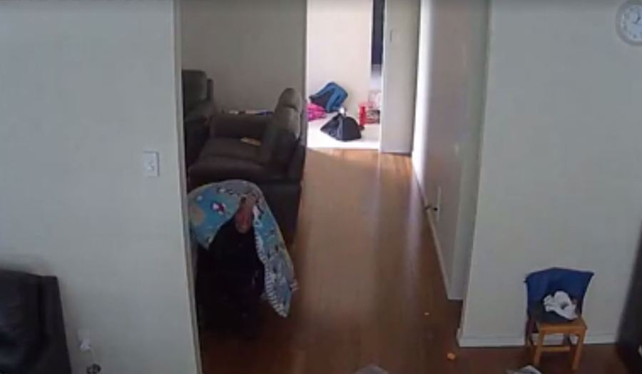 WATCH_ Burglar hides under kid’s duvet to avoid security cameras_128738