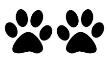 paws_127753