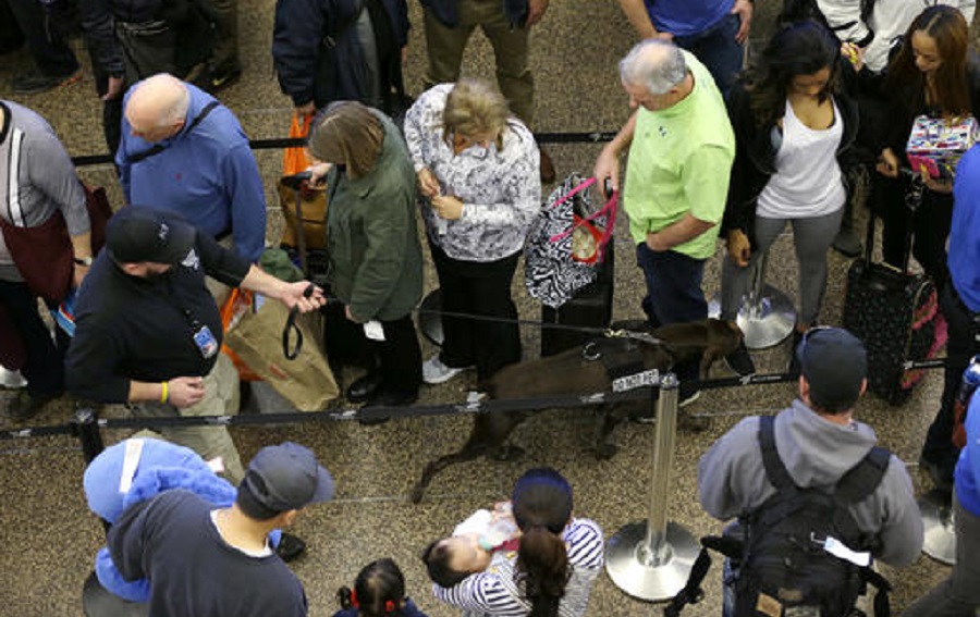 Airport Security Long Lines_145690