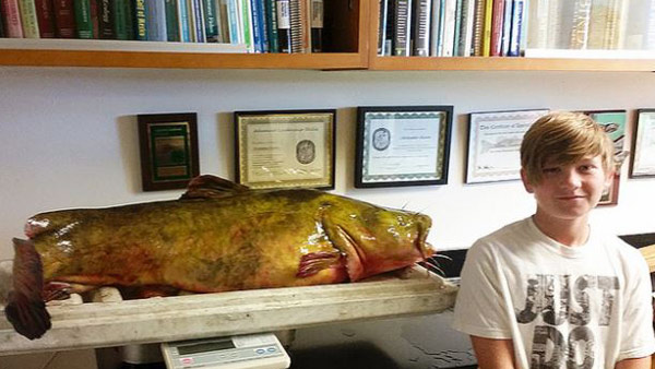 Charles Patchen, 13, with his record-setting 63.8 pound flathead catfish. FWC photo