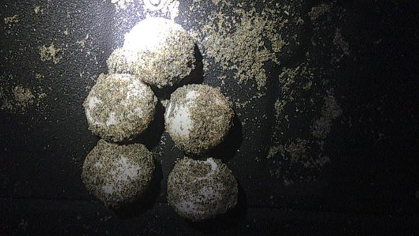 FWC photo of sea turtle eggs that were confiscated.