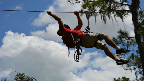 TreeUmph zipline_212982