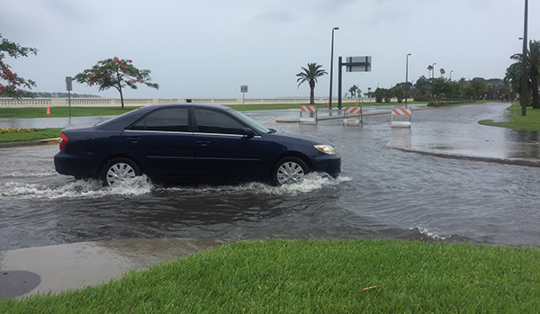 Flooding at Swann and Bayshore in Tampa_156282