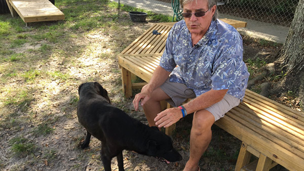  When Heath Bodden learned a 15-year old Black Lab named Affirmed had been taken to Pasco Animal Services with an uncertain future, he immediately sprung into action.