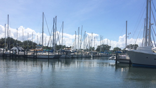 stpeteharbor_215245