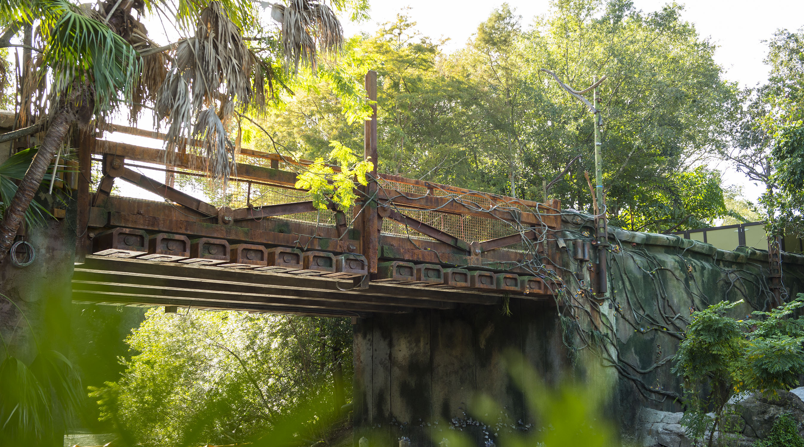 Pandora -- The World of Avatar at Disney's Animal Kingdom_254206