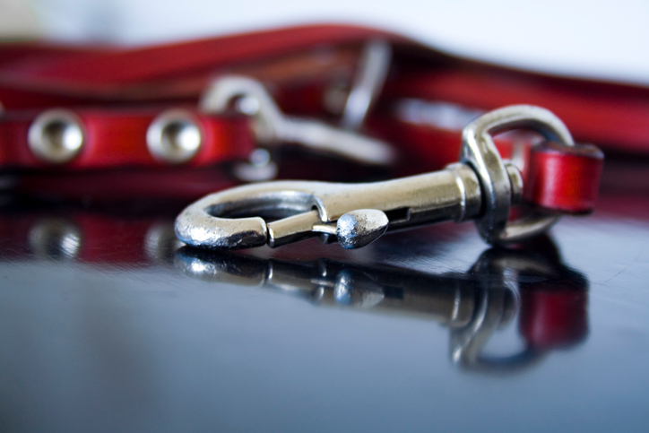 Close-up of dog's leash_253650