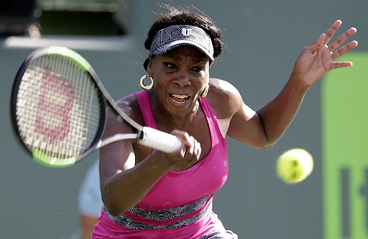 Venus Williams_328461