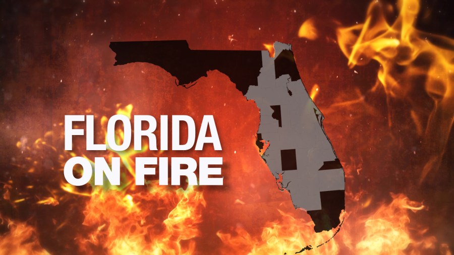 Florida On Fire_359294