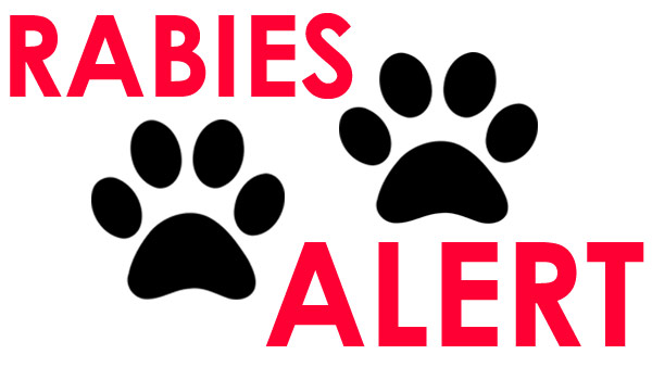 R-BEST-RABIES-ALERT--mug-ba_379039