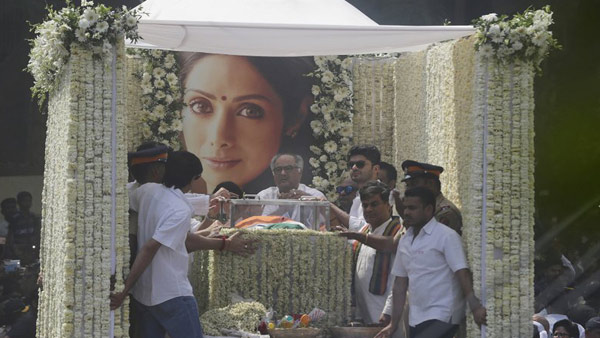 R-BOLLYWOOD-ACTRESS Sridevi--mug-ba_576454