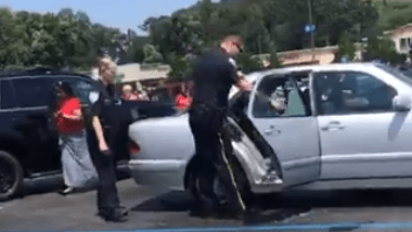 dog left in hot car for hours at Trussville walmart_1530738008646.PNG-842137438.jpg