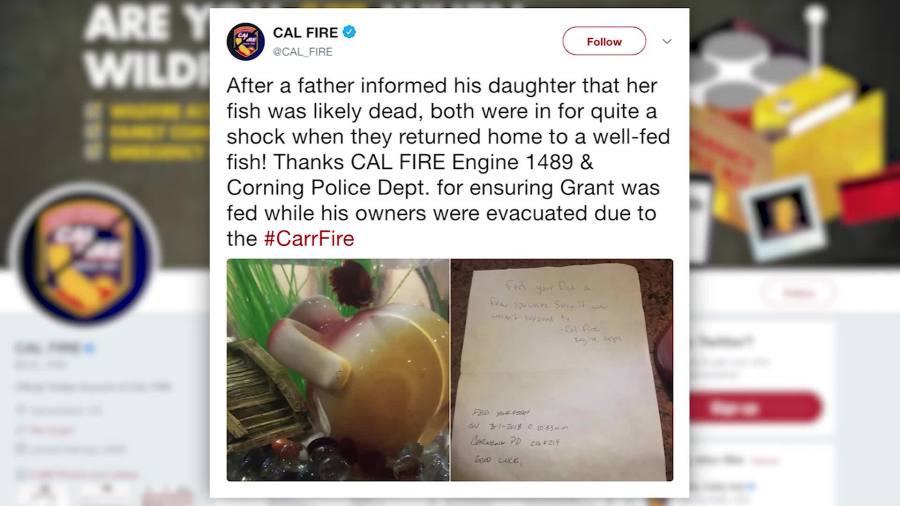 CAL FIRE TWEET_1534095733690.jpg.jpg