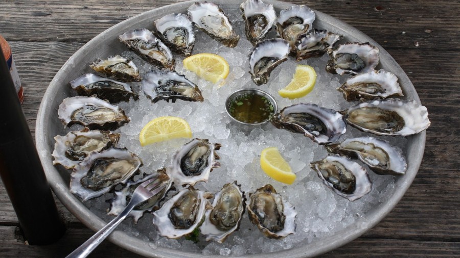 OYSTERS_1531927488576.jpg