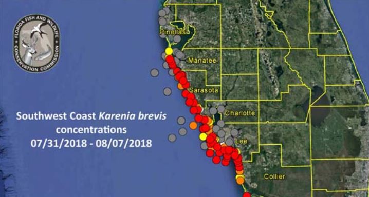 aug 8 map red tide_1533914625274.JPG.jpg