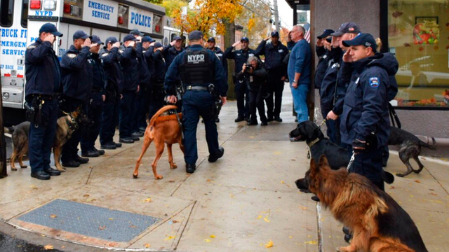 NYPD honors K9_1541610788996.jpg.jpg