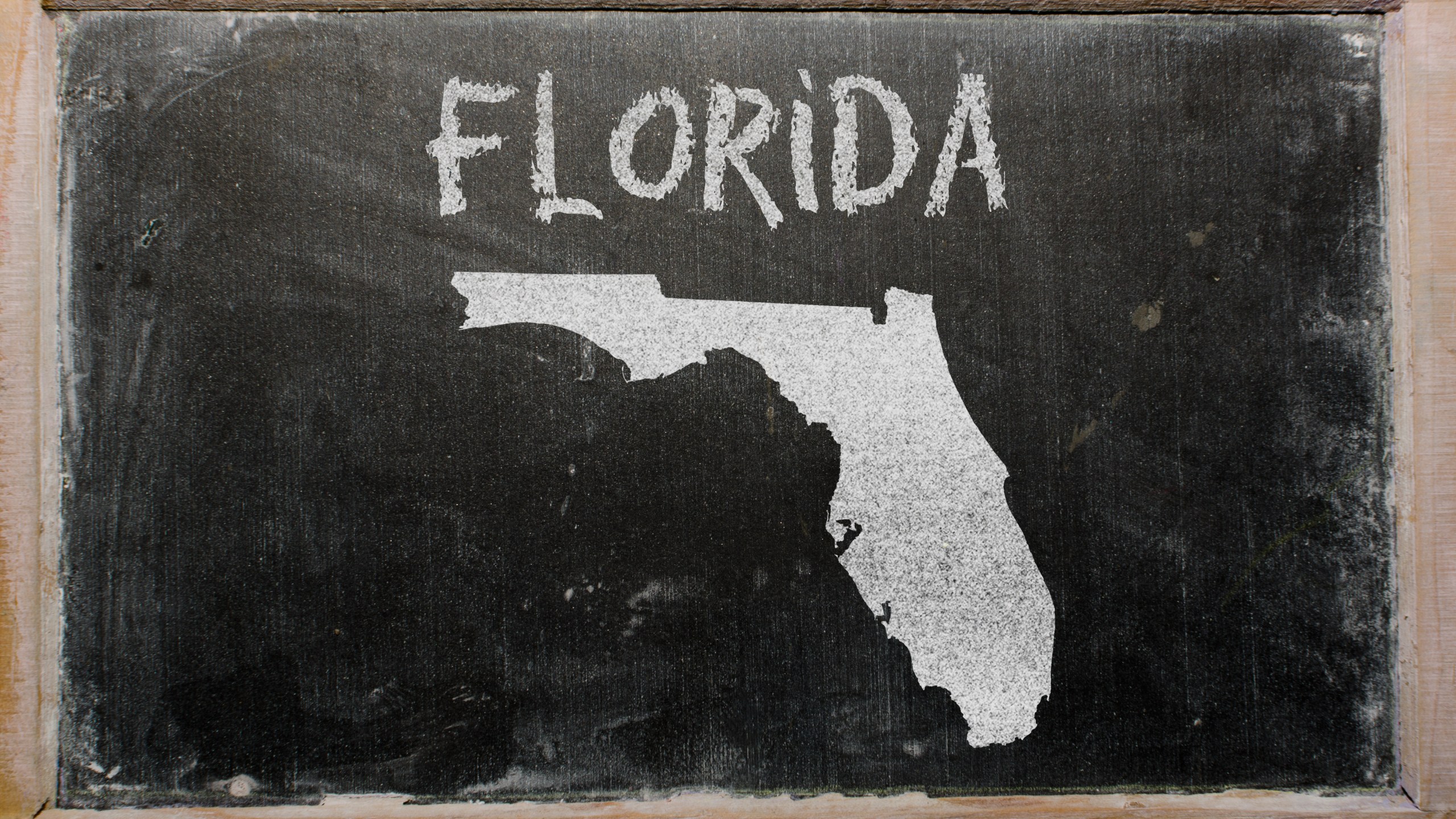 FLORIDA SCHOOL chalk board drawing