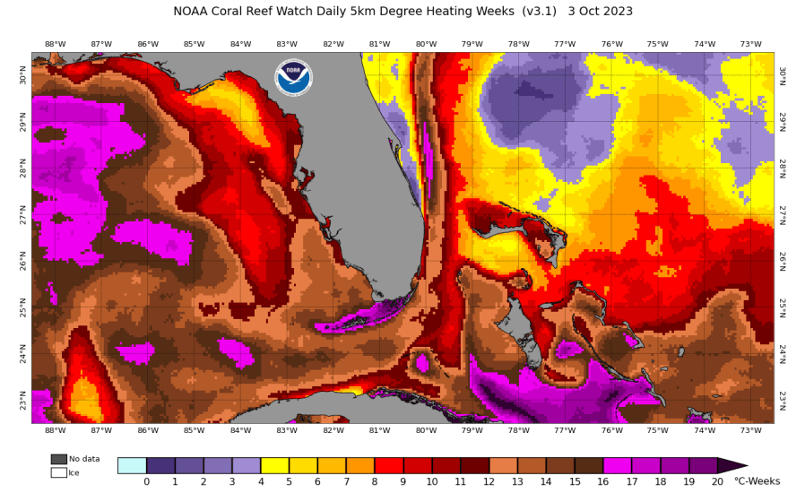 NOAA Map showing the number of heat stress weeks caused by the prolonged summer heat wave. Some areas of the Keys experienced over 20 weeks of heat stress on the coral. 